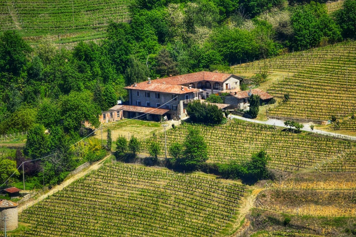 Agriturismo Tenuta San Giuseppe Cossano Belbo Exteriér fotografie
