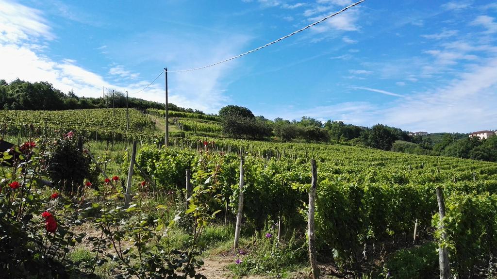 Agriturismo Tenuta San Giuseppe Cossano Belbo Exteriér fotografie
